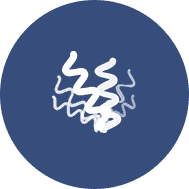 重組抗體表達(dá)項目案例