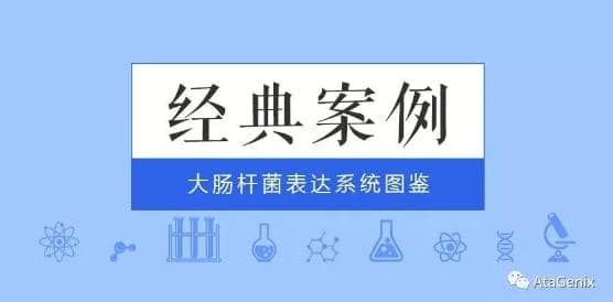 經(jīng)典案例|普健大腸桿菌表達(dá)系統(tǒng)