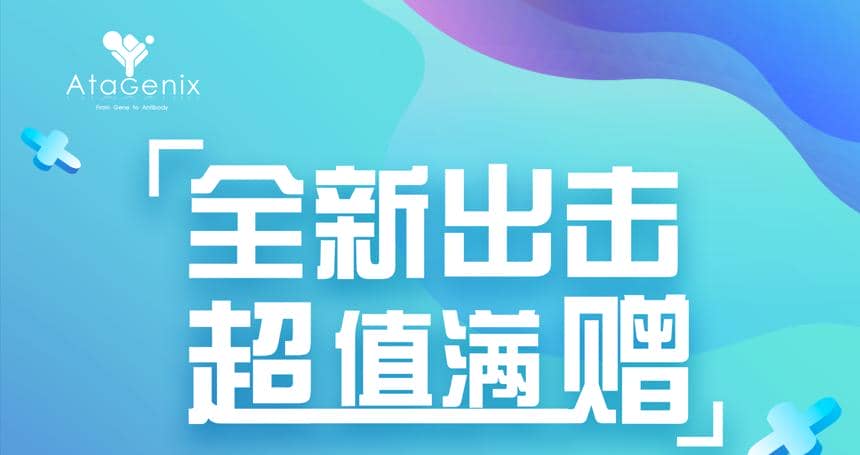 年底重磅 ▏下單即贈禮，滿額就加送~超多實用禮品等你來拿