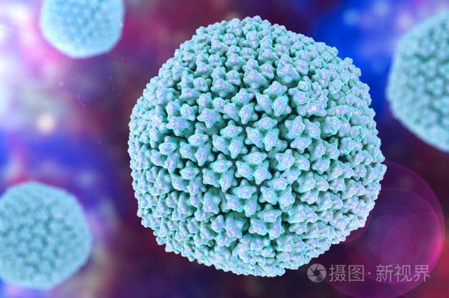 總被要求去內(nèi)毒，究竟是為什么？
