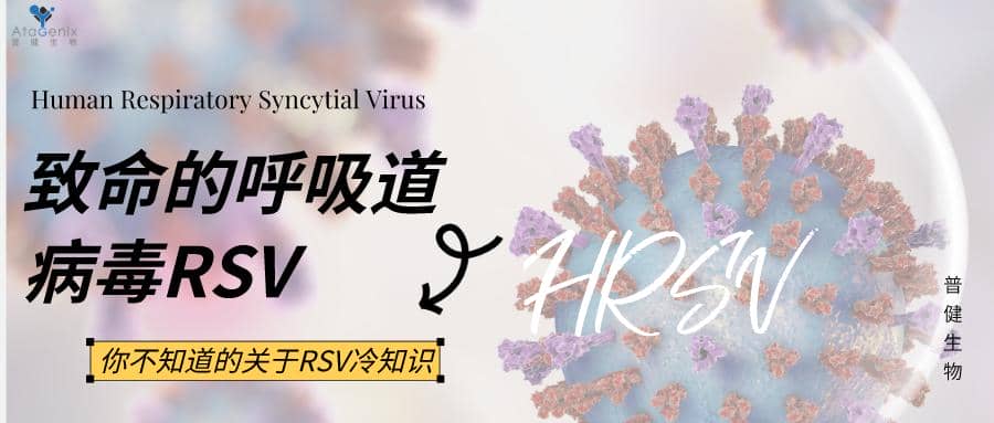 數(shù)十年研發(fā)幾經(jīng)折戟，首款成熟的RSV疫苗要來了嗎？