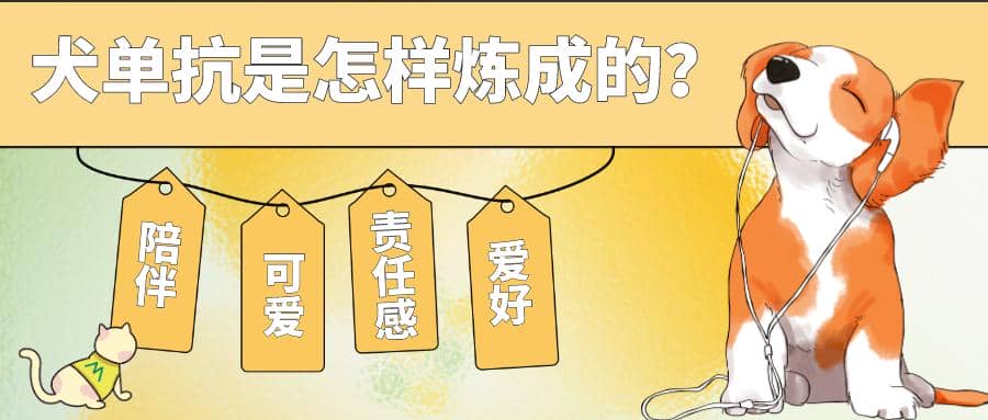 首款犬的單克隆抗體獲批！犬單抗是怎樣煉成的？