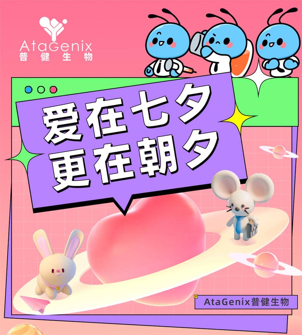 愛(ài)在七夕，更在朝夕