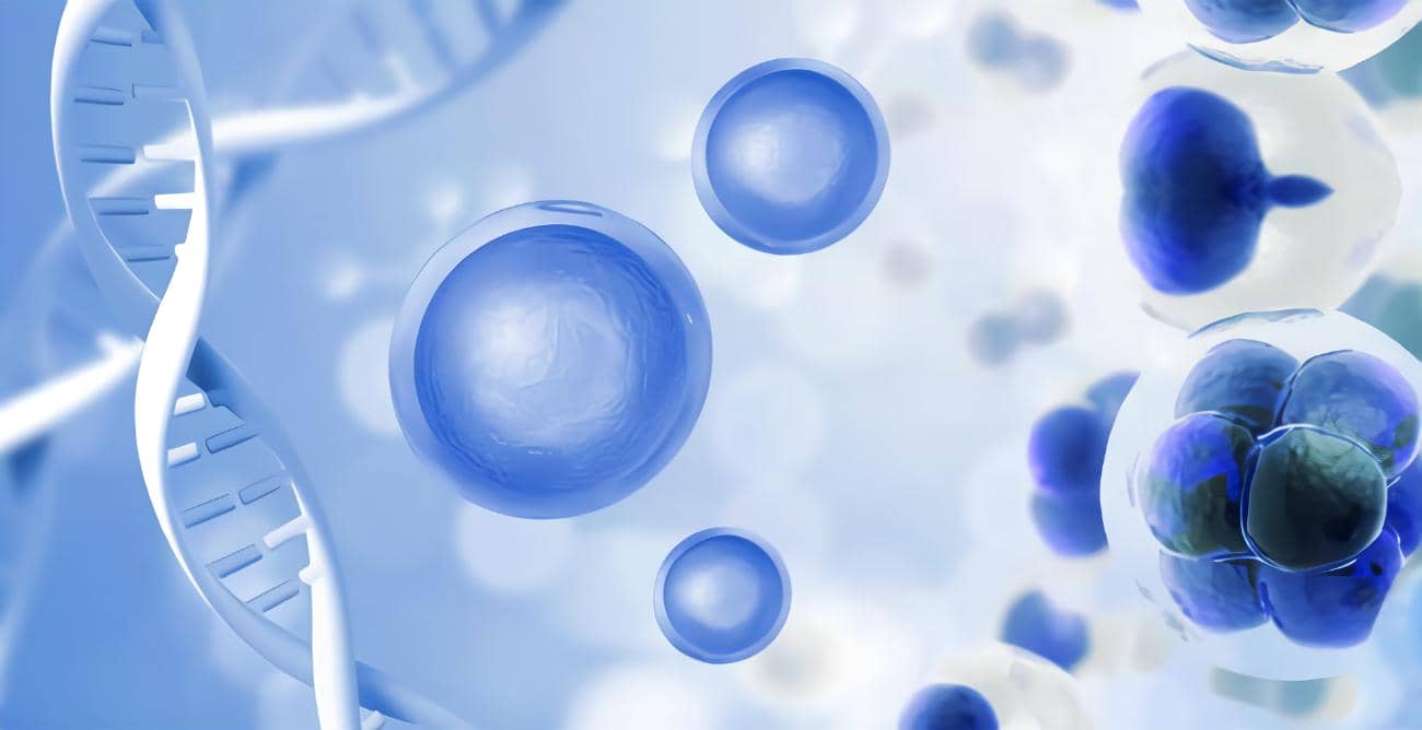 CD133、CD44、CD11b在急性髓系白血病中的表達及其與臨床預(yù)后的相關(guān)性研究