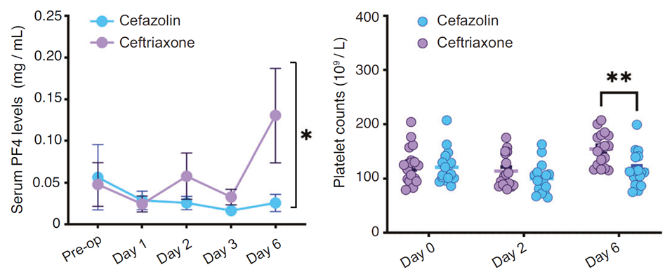 Ceftriaxone抑制C3上調、維持PF4水平，發(fā)揮認知保護作用