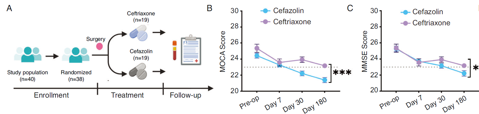 Ceftriaxone顯著降低老年患者術后PNCD發(fā)生率，改善認知功能。